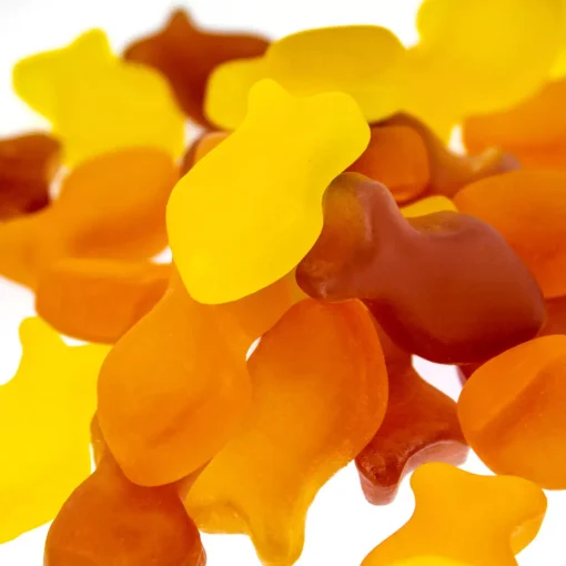 【純維生技】活力亞麻仁籽油(含Omega-3 α-次亞麻油酸)軟糖 美國進口：圖片 2